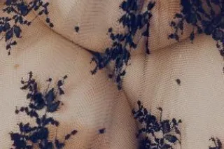 cocos hot massages💆♀💆♂💕 Spescials hmu 🤩🌹 - Image 1