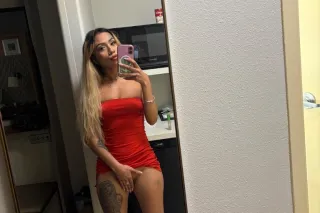 MEXAPINA SQUIRTR LA-SFV qv 140 hhr 240 hr 400 - Image 9